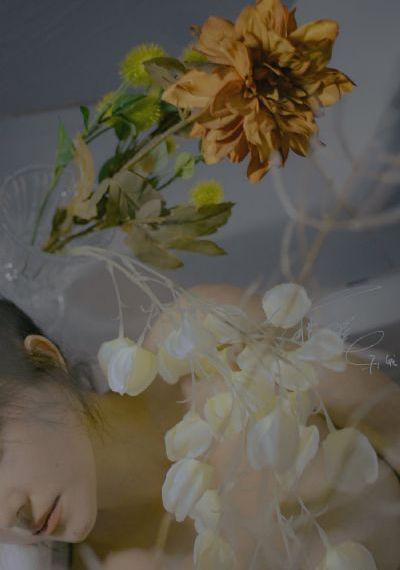 老婆的朋友