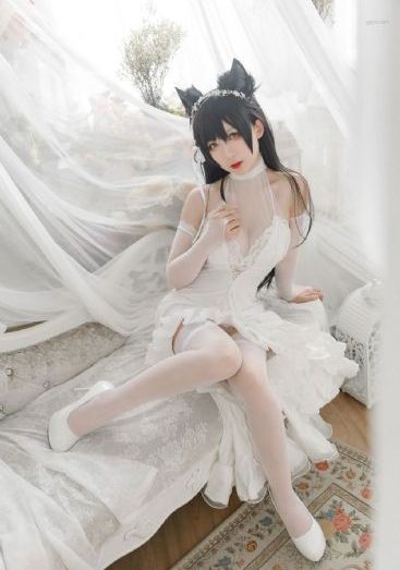 新济公游记_高清直播在线观看